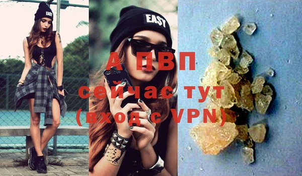 a pvp Снежногорск