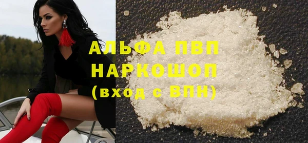 СК Сосновый Бор